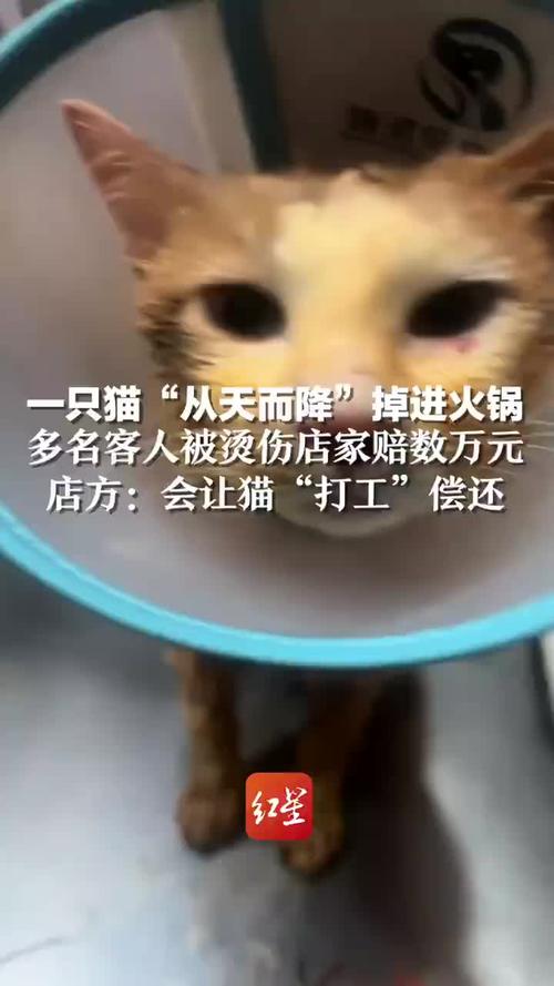 产品中心 第27页